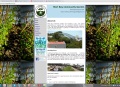 Scruff Design logistics citrustwist lime juicer and web